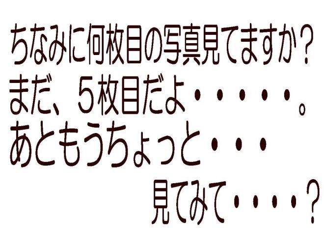 ポロ5ドアTSIコンフォートライン　ローンが不安な方＜優遇ローン＞　純正ナビ　ワンセグTV　ETC　右ハンドル　