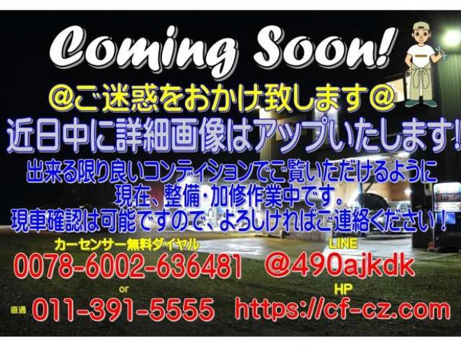 ekスペースカスタム T 4WD　ナビ　TV　Bカメラ　両側Pスライド 660