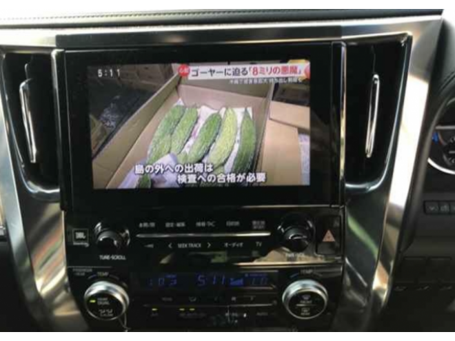 アルファードハイブリッドエグゼクティブラウンジ 本州車 寒冷地仕様 ナビTVバックモニター パノラミックビューモニター フリップダウンモニター 両側パワースライドドア パワーリアゲート レザーシート 車検新規2年 24ヶ月点検整備 保証付！ 4WD 2500 5Dr