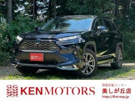 RAV-4　2.5 ハイブリッド G E-Four 4WD　PS　PW　黒革シート　純正ナビ　フルセグTV　純正AW　ABS　キーレス　モデリスタエアロ　デジタルインナーミラー　パワーバックドア　ハンドルヒーター　ETC　電動シート　バックカメラ 2500