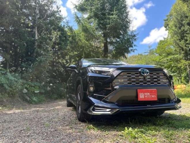 RAV-42.5 ハイブリッド G E-Four 4WD　PS　PW　黒革シート　純正ナビ　フルセグTV　純正AW　ABS　キーレス　モデリスタエアロ　デジタルインナーミラー　パワーバックドア　ハンドルヒーター　ETC　電動シート　バックカメラ 2500