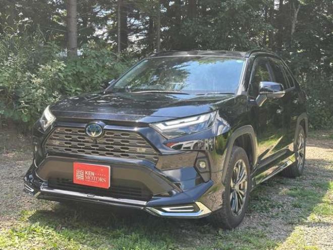 RAV-42.5 ハイブリッド G E-Four 4WD　PS　PW　黒革シート　純正ナビ　フルセグTV　純正AW　ABS　キーレス　モデリスタエアロ　デジタルインナーミラー　パワーバックドア　ハンドルヒーター　ETC　電動シート　バックカメラ 2500