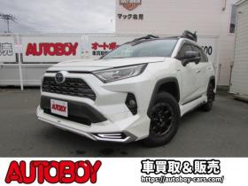 RAV-4 2.5 ハイブリッド G E-Four 4WD ヒッチメンバー/パワーバックドア/アップサス/モデリスタエアロ/サンルーフ/ビルトインETC/シートヒーター/ステアリングヒーター/フルセグTV/バックカメラ/サイドカメラ/ 2500