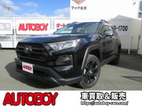 RAV-4 2.0 アドベンチャー オフロード パッケージII 4WD LEDヘッドライト/ビルトインETC2.0/シートヒーター/ステアリングヒーター/フルセグTV/バックカメラ/レーダークルーズコントロール/パワーバックドア/エンジンスターター 2000