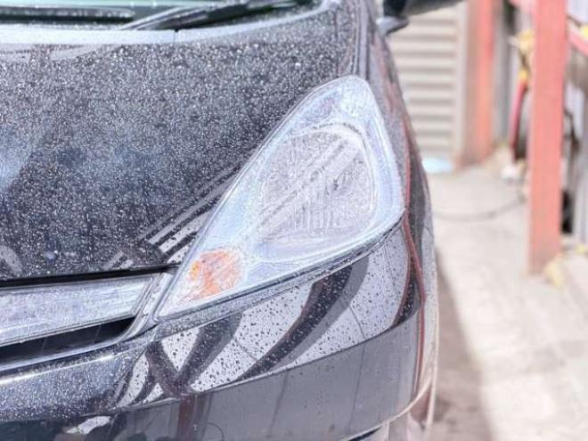 フィットシャトルハイブリッド1.3 下廻防錆TVナビBカメETC夏冬タイヤ 2WD 1300