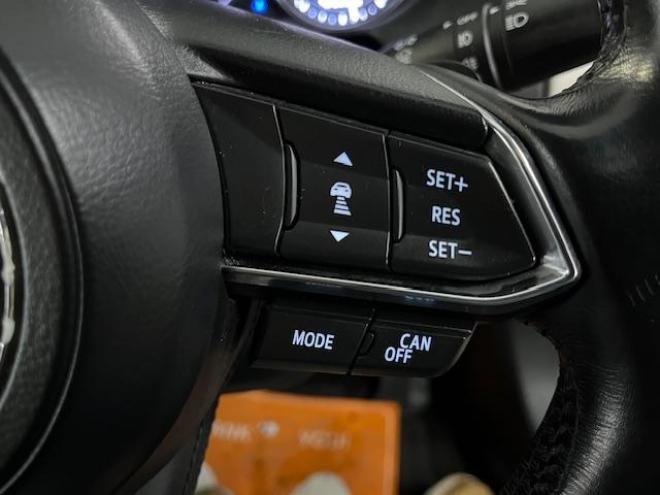 アテンザワゴンＸＤ　Ｌパッケージ　寒冷地仕様　禁煙車　スカイアクティブディーゼルターボ　純正１９インチＡＷ　社外１７ＡＷ＋スタッドレスタイヤ付　純正ナビ（地デジ　ＤＶＤ再生　Ｂｌｕｅｔｏｏｔｈ）＋バックカメラ　前後ドライブレコーダー　ヘッドアップディスプレイ　ＢＯＳＥサウンド　衝突軽減ブレーキ　レーダークルーズコントロール　車線逸脱警報　ＬＥＤヘッドライト　フロントガラス熱線　シートヒーター　ステアリングヒーター　横滑り防止装置　ＥＴＣ 4WD 2200 5Dr