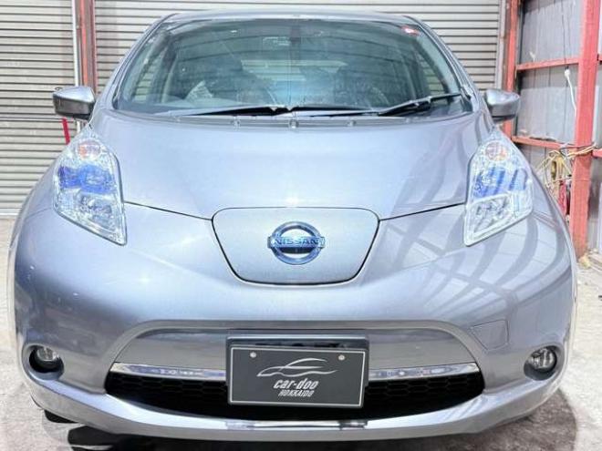 リーフ30kWh X　下廻防錆TVナビBカメETC夏冬タイヤ 2WD 不明