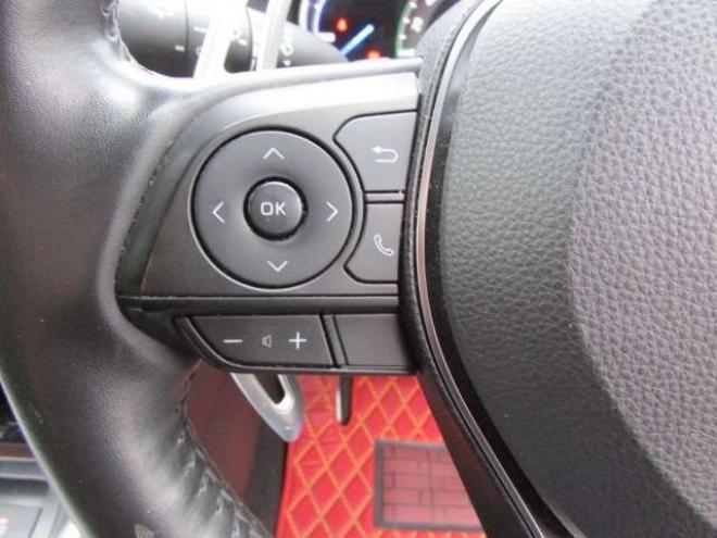 RAV-42.5 ハイブリッド G E-Four 4WD　ヒッチメンバー/パワーバックドア/アップサス/モデリスタエアロ/サンルーフ/ビルトインETC/シートヒーター/ステアリングヒーター/フルセグTV/バックカメラ/サイドカメラ/ 2500