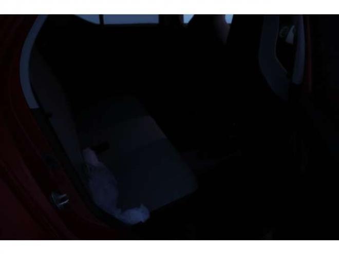 アルトS 4WD　検R9/2　両側シートヒーター　バックカメラ　スタッドレス　社外ナビ　TV　自社　ローンカノウ 660