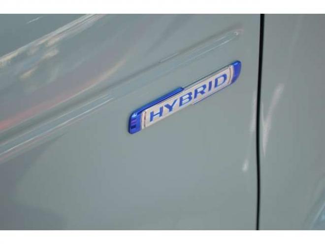 ハスラータフワイルドターボ 4WD　届出済未使用車ハイブリッド4WDセーフティサポート搭載スズキコネクト対応通信機装着車全方位モニター9インチナビTVバックカメラアダプティブクルーズコントロールハイビームアシストLEDライト 660