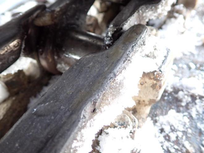 バックホーAX50U-4　回転グラップル付　恵庭ヤード