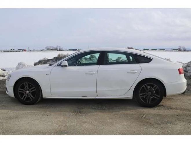 アウディA5スポーツバック 2.0 TFSI クワトロ 4WD　検R9/1　バックカメラ　自社　ローンカノウ 正規輸入車 2000