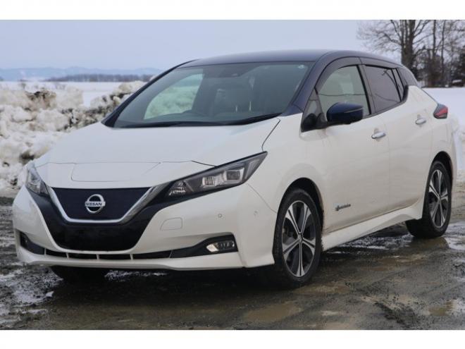 リーフG　検二年　プロパイロット　アラウンドビューモニター　フルセグ　2トーンルーフ 2WD 不明