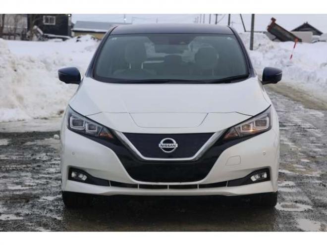 リーフG　検二年　プロパイロット　アラウンドビューモニター　フルセグ　2トーンルーフ 2WD 不明