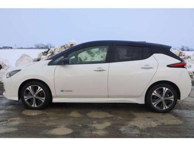 リーフG　検二年　プロパイロット　アラウンドビューモニター　フルセグ　2トーンルーフ 2WD 不明