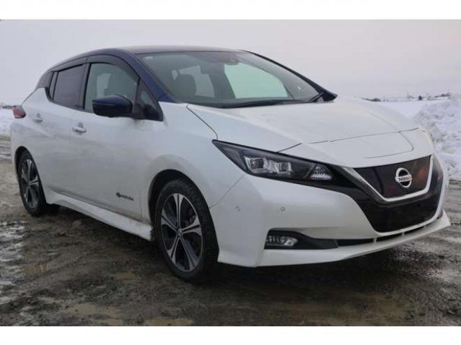 リーフG　検二年　プロパイロット　アラウンドビューモニター　フルセグ　2トーンルーフ 2WD 不明