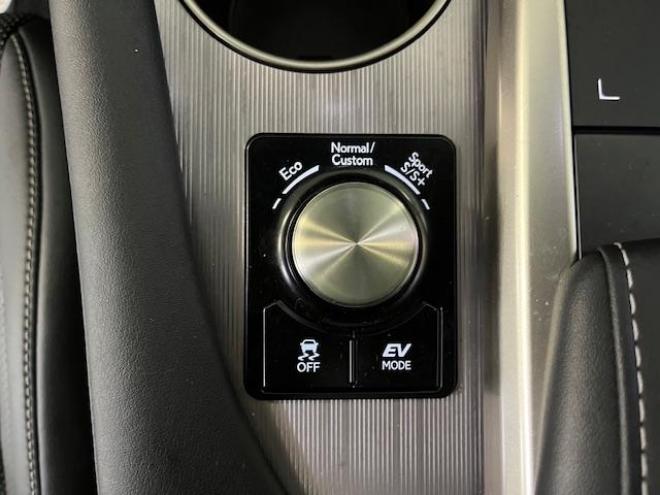 レクサスＲＸ４５０ｈ　Ｆスポーツ　本州仕入　寒冷地仕様　純正ムーンルーフ　レクサスセーフティセンス　ヘッドアップディスプレイ　全方位パノラミックビューモニター　純正２０インチＡＷ　純正１８ＡＷ＋スタッドレスタイヤ付　リア３面フィルム 4WD 3500 5Dr