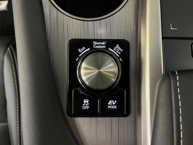 レクサスＲＸ４５０ｈ　Ｆスポーツ　寒冷地仕様　純正２０ＡＷ＋新品夏タイヤ　社外１８ＡＷ＋スタッドレスタイヤ付　レクサスセーフティセンス　純正ブラックレザーシート　電動サンルーフ　前後ドライブレコーダー　全方位アラウンドビューモニター 4WD 3500 5Dr