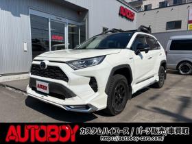 RAV-4　2.5 ハイブリッド G E-Four 4WD　ヒッチメンバー/パワーバックドア/アップサス/モデリスタエアロ/サンルーフ/ビルトインETC/シートヒーター/ステアリングヒーター/フルセグTV/バックカメラ/サイドカメラ/ 2500