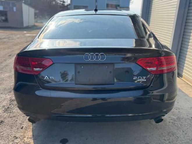 アウディA5スポーツバック 2.0 TFSI クワトロ 4WD　夏冬タイヤ　黒革シート　ナビ　TV　Bカメラ 正規輸入車 2000