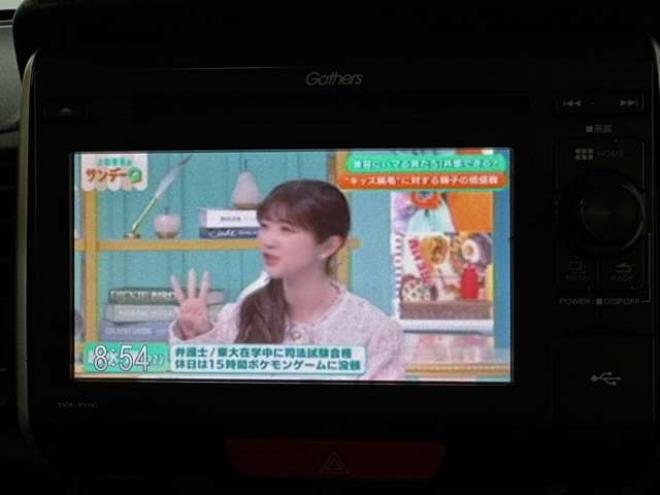 N-BOXG Lパッケージ 4WD　プッシュスタート　TV　Bカメラ　Pスライド 660