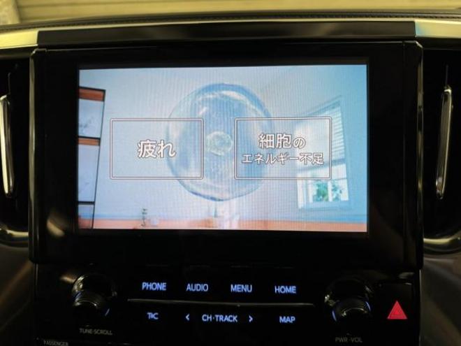 アルファード２．５Ｓ　Ｃパッケージ　本州仕入　寒冷地仕様　禁煙車　デジタルインナーミラー　純正リアフリップダウンモニター　トライブフォース２０インチＡＷ　トヨタセーフティセンス　レーダークルーズ　ブラインドスポット　車線逸脱警報　ＥＴＣ 4WD 2500 5Dr