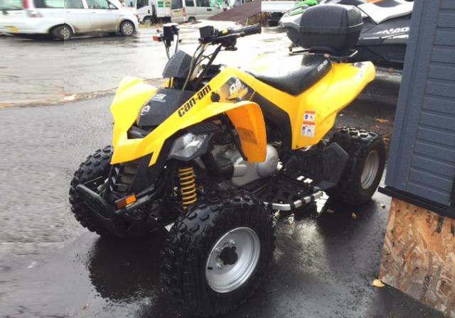 Otherscan-am ATV DS-250 2015モデル