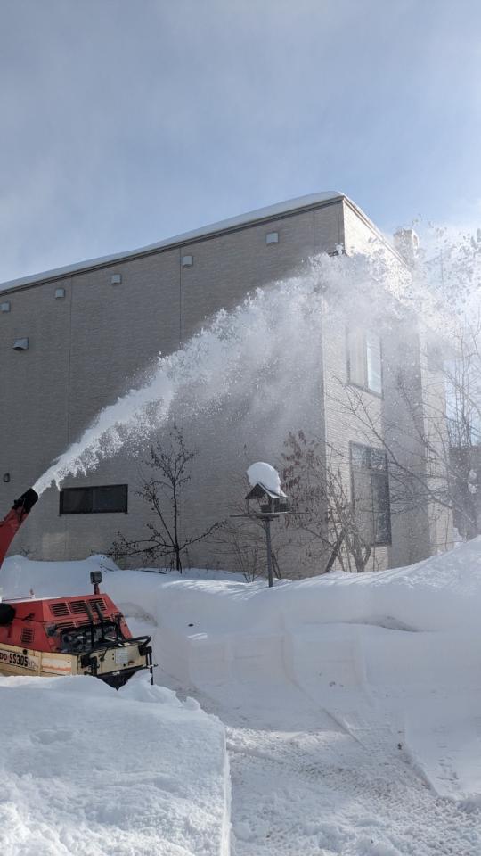 楽天市場】【在庫有り】【レビュー記入で離雪スプレープレゼント