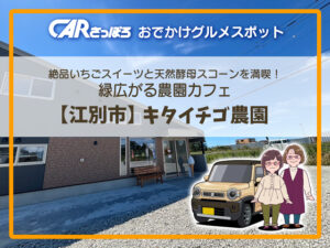 絶品いちごスイーツと天然酵母スコーン！緑広がる農園カフェ【江別市】キタイチゴ農園