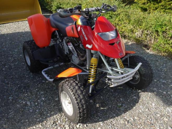 バギーカンナム　DS650