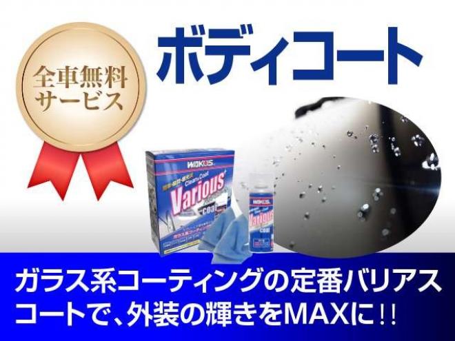 フォレスター2.0 XS 4WD　クルコン　Bモニタ　SDナビ+TV  HID 2000