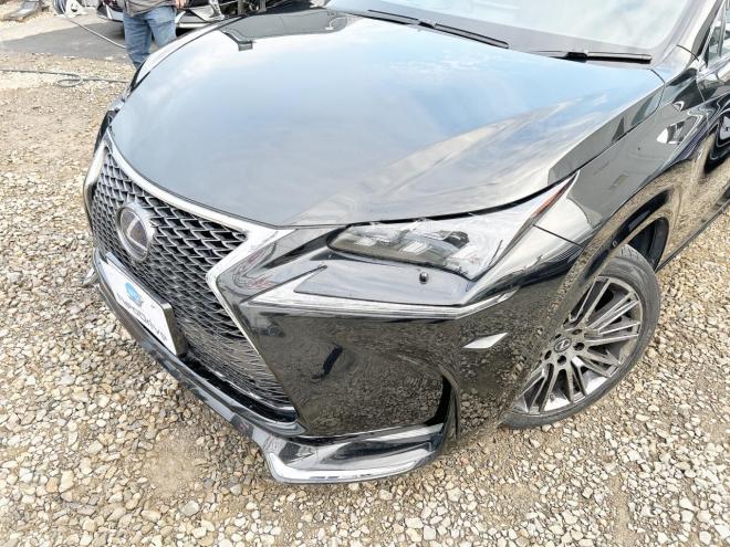 レクサスNX　300h Fスポーツ 4WD　ローンが不安な方＜優遇ローン＞　本州仕入　ナビTV　サンルーフ　本革シート 4WD