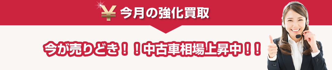 今月の強化買取